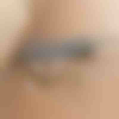 Teleskopický čistič prachu | ARTICLEAN