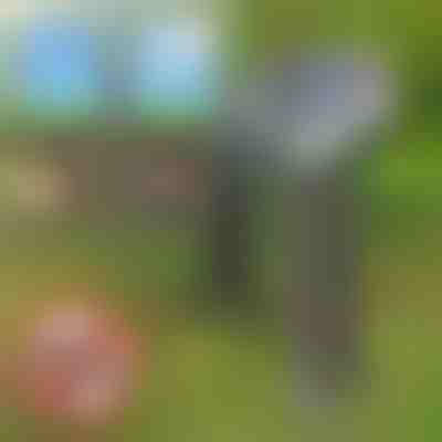 Solární odpuzovač škůdců | SOLGUARD