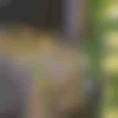 Solární světýlka s umělými listy břečťanu (5 m) | LEAFGLO