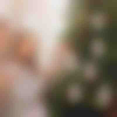 Vánoční ozdoby na peníze (4ks) | WEALTHMAS