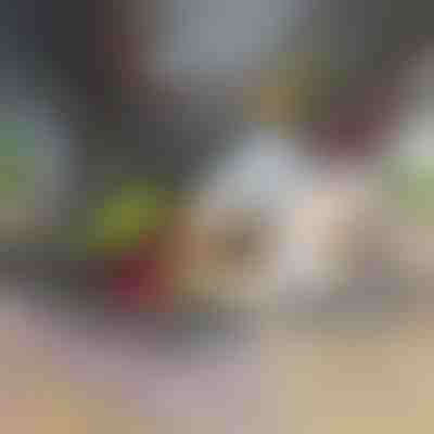 12v1 kráječ a sekáček na zeleninu (7 čepelí v balení) | CHOPMASTER