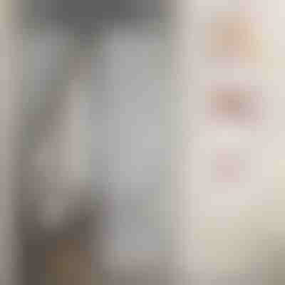 Magnetická moskytiéra na dveře | INSECTPROTECT