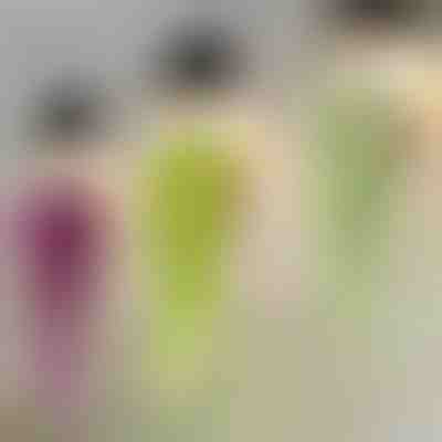 Dekorativní závěsná rostlina | IVYORA