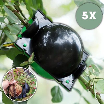 Propagační box pro zdravé kořeny (5 kusů) | ROOTY