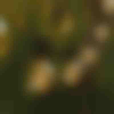 Světelný řetěz s LED žárovkami | YARDBULBS