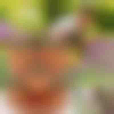 Vertikální sada pro květináče | PLANTUP