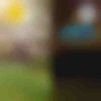 Solární tropická zahradní světla | LUMIPALM