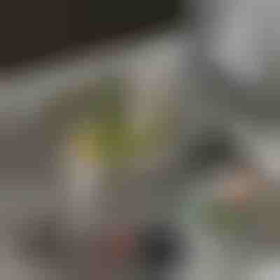 Odkapávací koš, který snadno filtruje a ukládá | EVOSINK