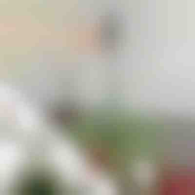 Nastavitelná stabilizační tyč pro špičku stromku | STABLESTAR